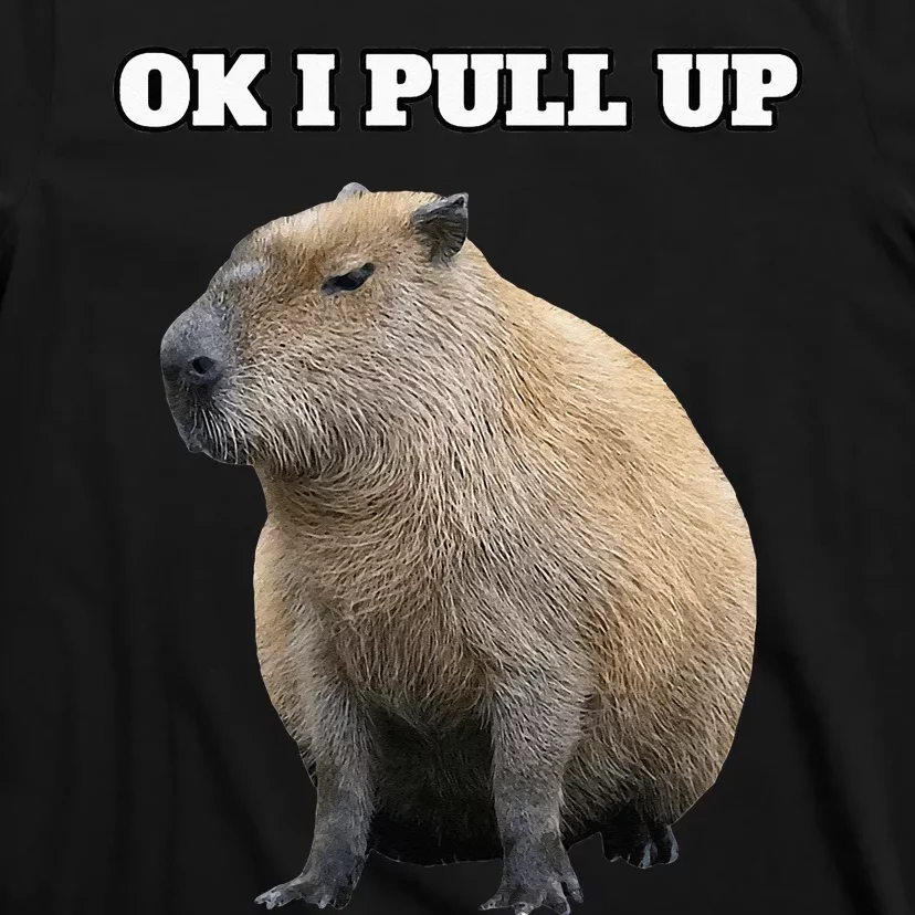 Ok I Pull Up Capybara T-Shirt