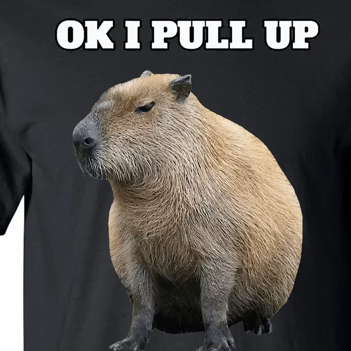 Ok I Pull Up Capybara Tall T-Shirt