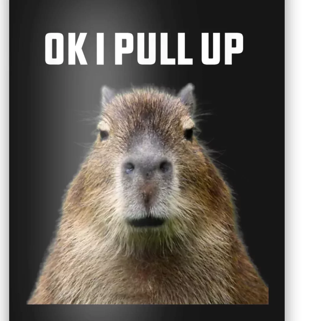 Ok I Pull Up Capybara Poster