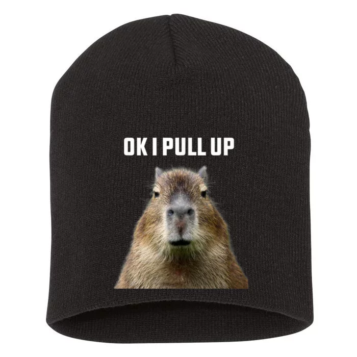 Ok I Pull Up Capybara Short Acrylic Beanie