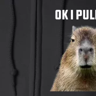 Ok I Pull Up Capybara Full Zip Hoodie