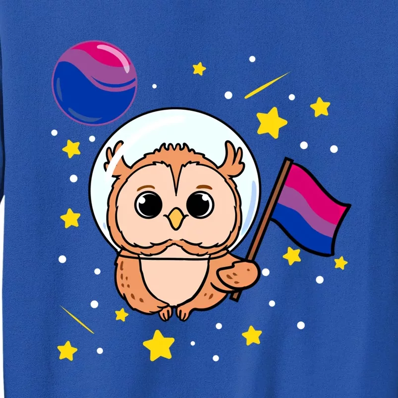 Owl In Space Bisexual Pride Gift Sweatshirt