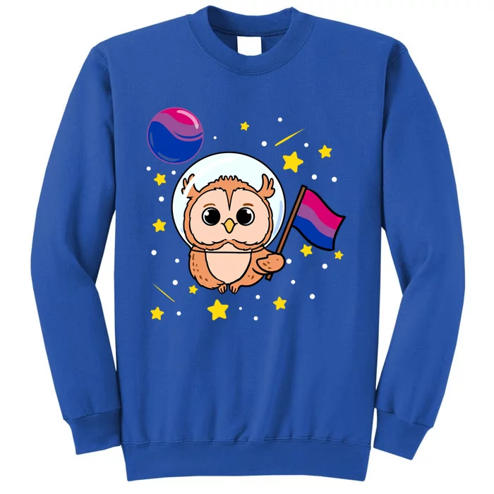 Owl In Space Bisexual Pride Gift Sweatshirt