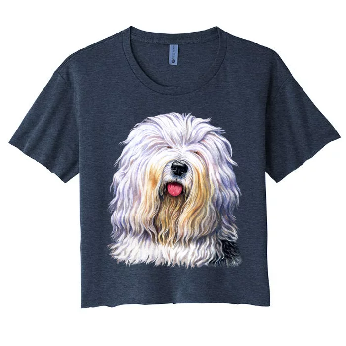 Old English Sheepdog Women's Crop Top Tee