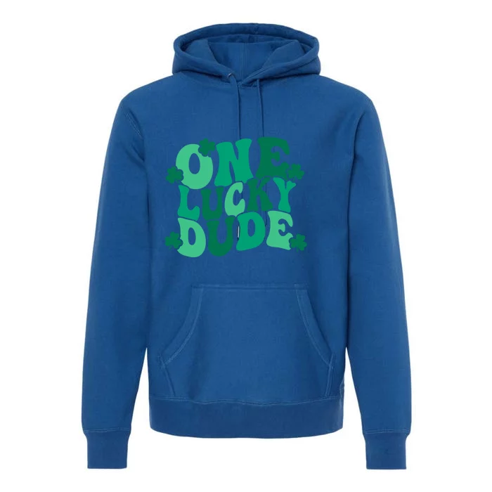 One Lucky Dude Gift St Patricks Day Gift Daddy Gift Premium Hoodie