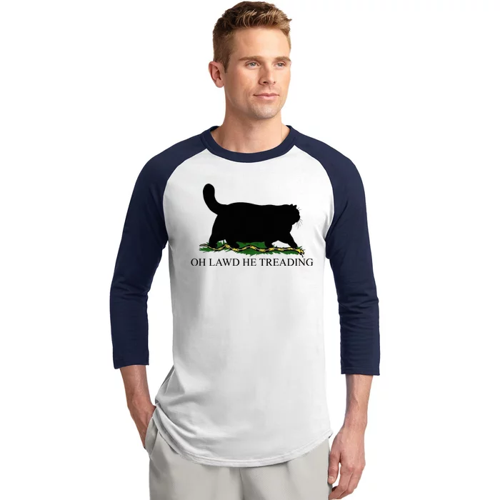 Oh Lawd He Treading Funny Cat Snake Baseball Sleeve Shirt