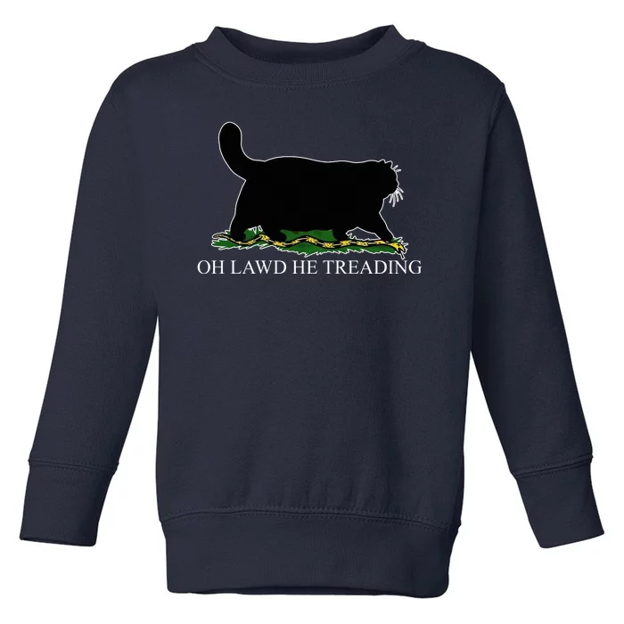 Oh Lawd He Treading Funny Cat Snake Toddler Sweatshirt