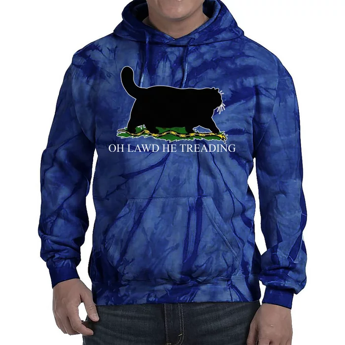 Oh Lawd He Treading Funny Cat Snake Tie Dye Hoodie