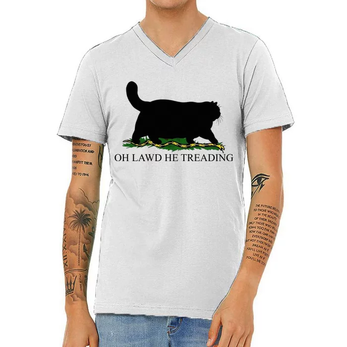 Oh Lawd He Treading Funny Cat Snake V-Neck T-Shirt