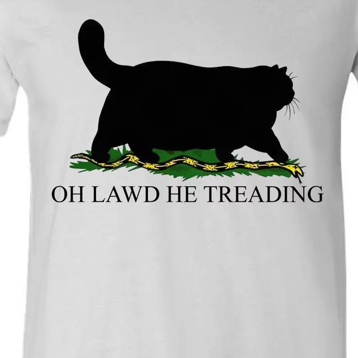 Oh Lawd He Treading Funny Cat Snake V-Neck T-Shirt