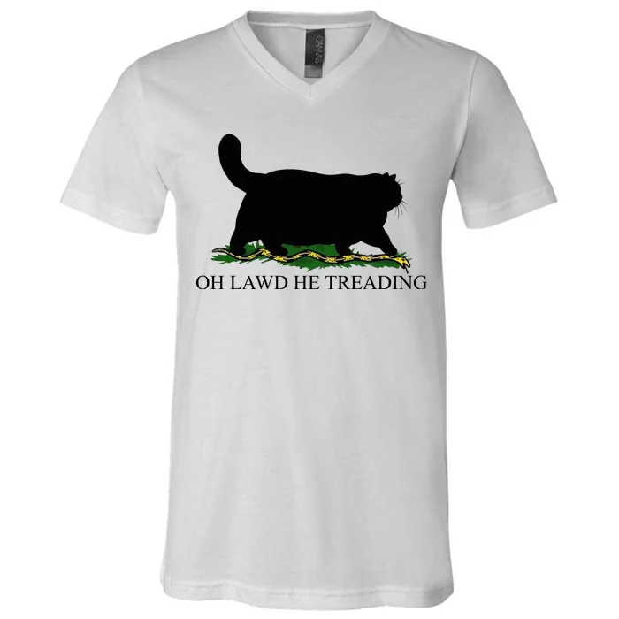 Oh Lawd He Treading Funny Cat Snake V-Neck T-Shirt