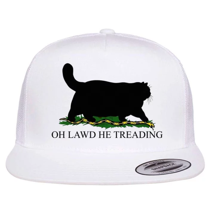 Oh Lawd He Treading Funny Cat Snake Flat Bill Trucker Hat