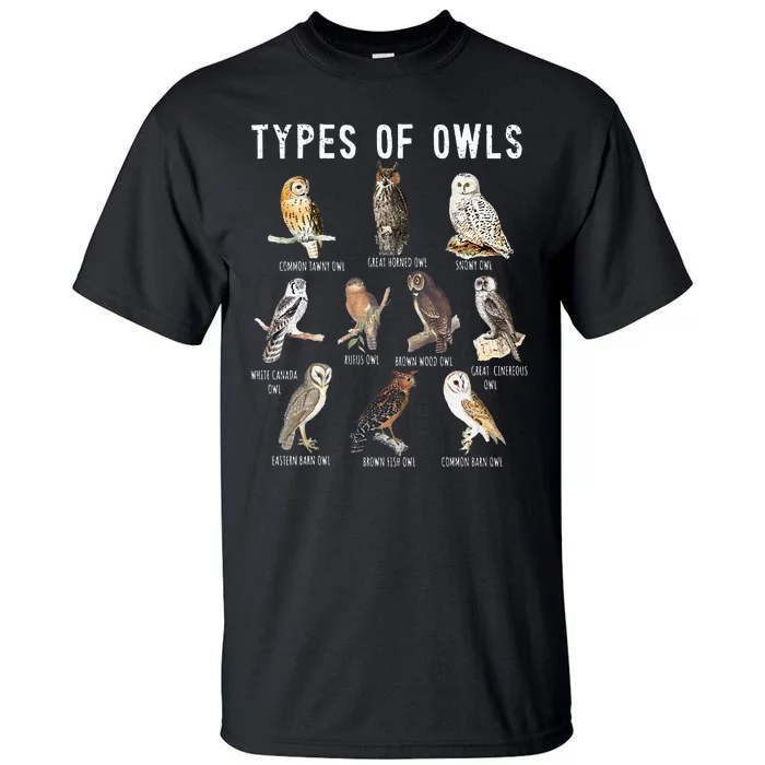 Owl Lover Types Of Owls Owls Of World Owl Tall T-Shirt