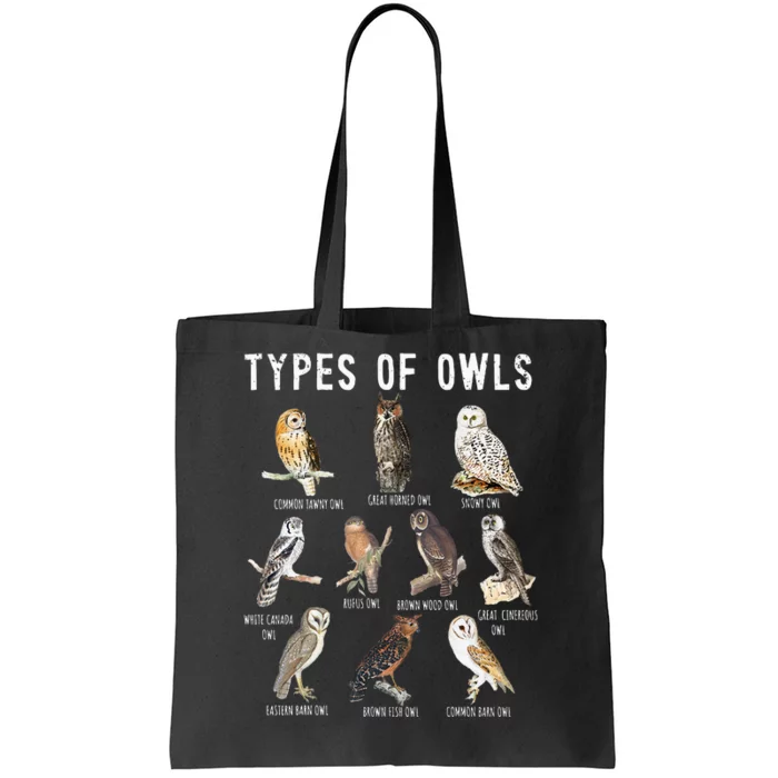 Owl Lover Types Of Owls Owls Of World Owl Tote Bag