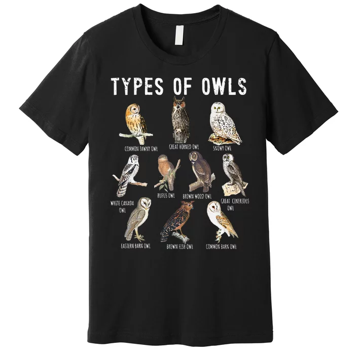 Owl Lover Types Of Owls Owls Of World Owl Premium T-Shirt