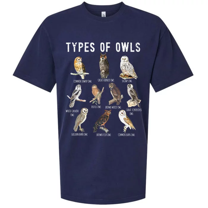 Owl Lover Types Of Owls Owls Of World Owl Sueded Cloud Jersey T-Shirt