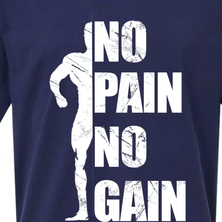 Original Motivation No Pain No Gain Gym Gift Sueded Cloud Jersey T-Shirt