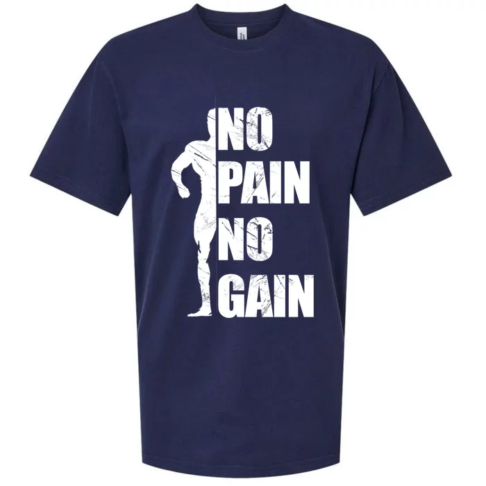 Original Motivation No Pain No Gain Gym Gift Sueded Cloud Jersey T-Shirt