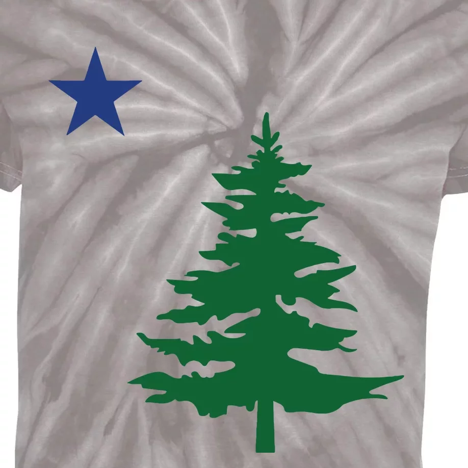 Old Maine State Flag 1901 Pine Tree Star Kids Tie-Dye T-Shirt