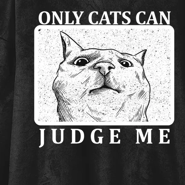 Only Cats Can Judge Me Hooded Wearable Blanket