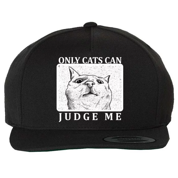 Only Cats Can Judge Me Wool Snapback Cap