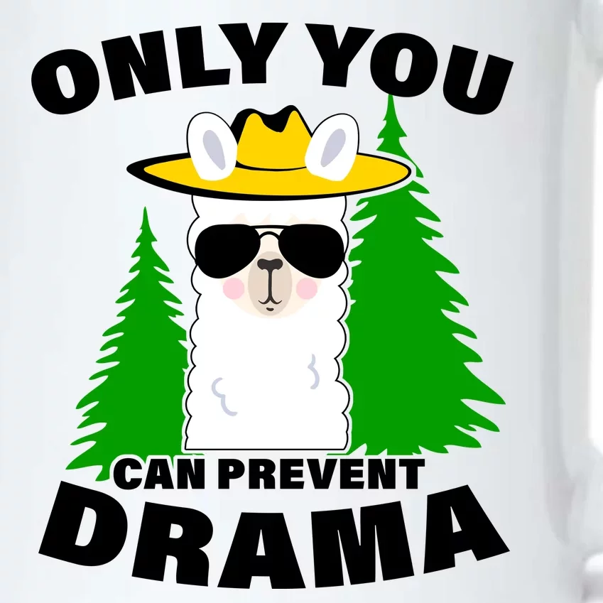 Only You Can Prevent Drama Black Color Changing Mug