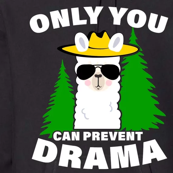 Only You Can Prevent Drama Premium Hoodie