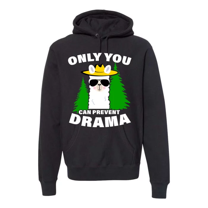 Only You Can Prevent Drama Premium Hoodie