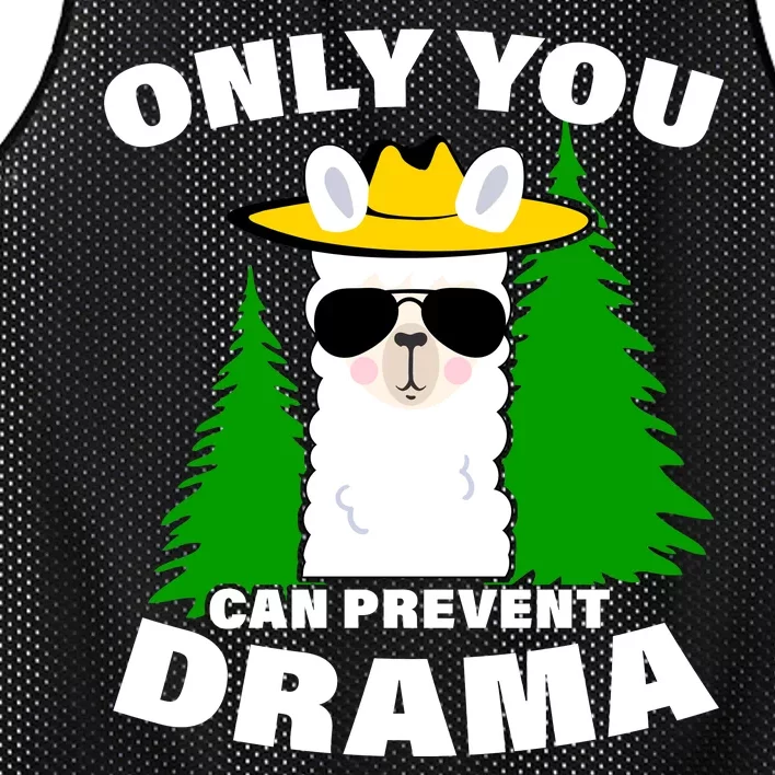 Only You Can Prevent Drama Mesh Reversible Basketball Jersey Tank