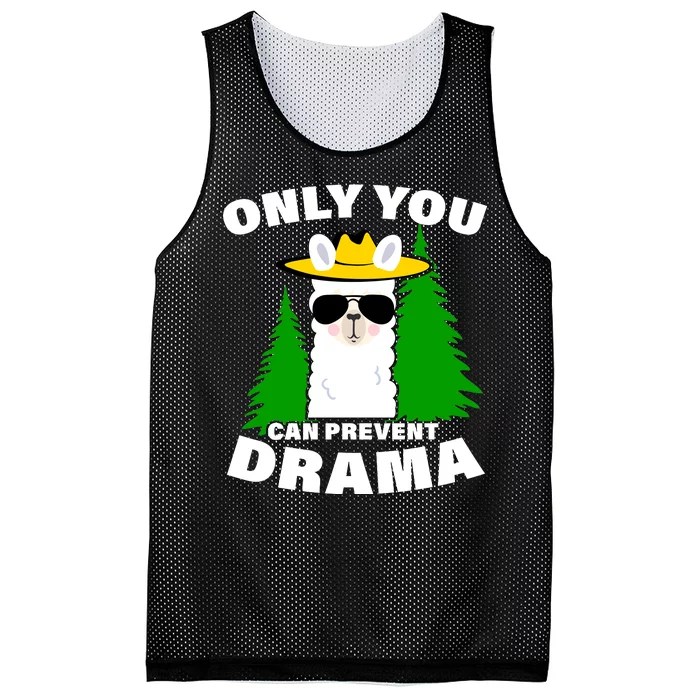 Only You Can Prevent Drama Mesh Reversible Basketball Jersey Tank