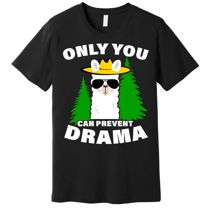 Only You Can Prevent Drama Premium T-Shirt