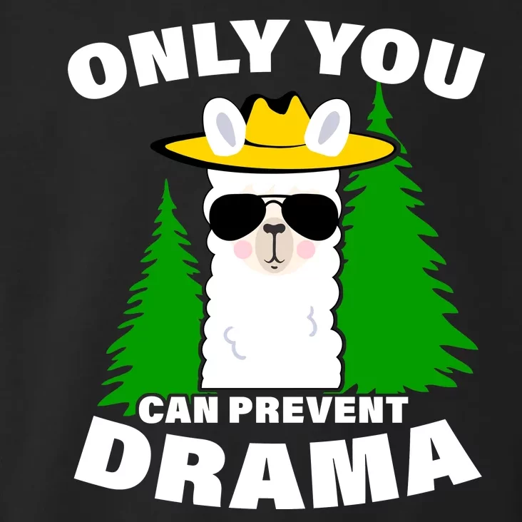 Only You Can Prevent Drama Toddler Hoodie