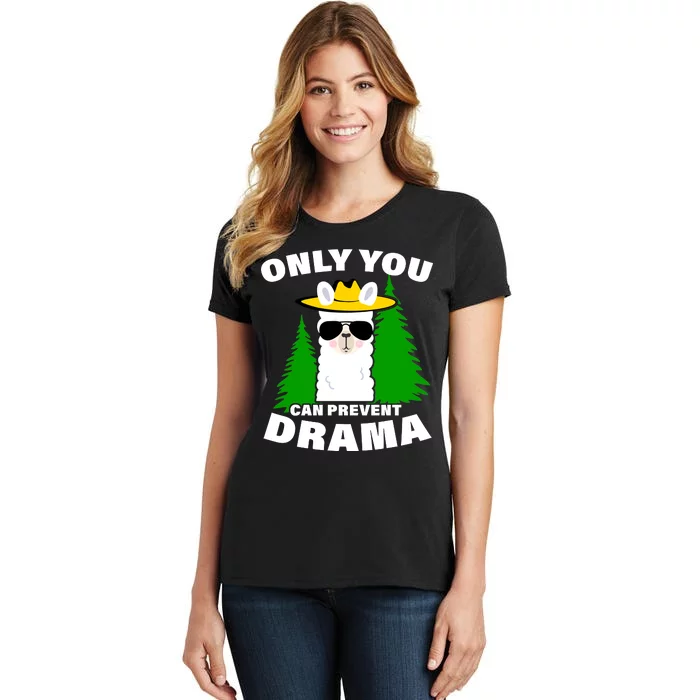 Only You Can Prevent Drama Women's T-Shirt