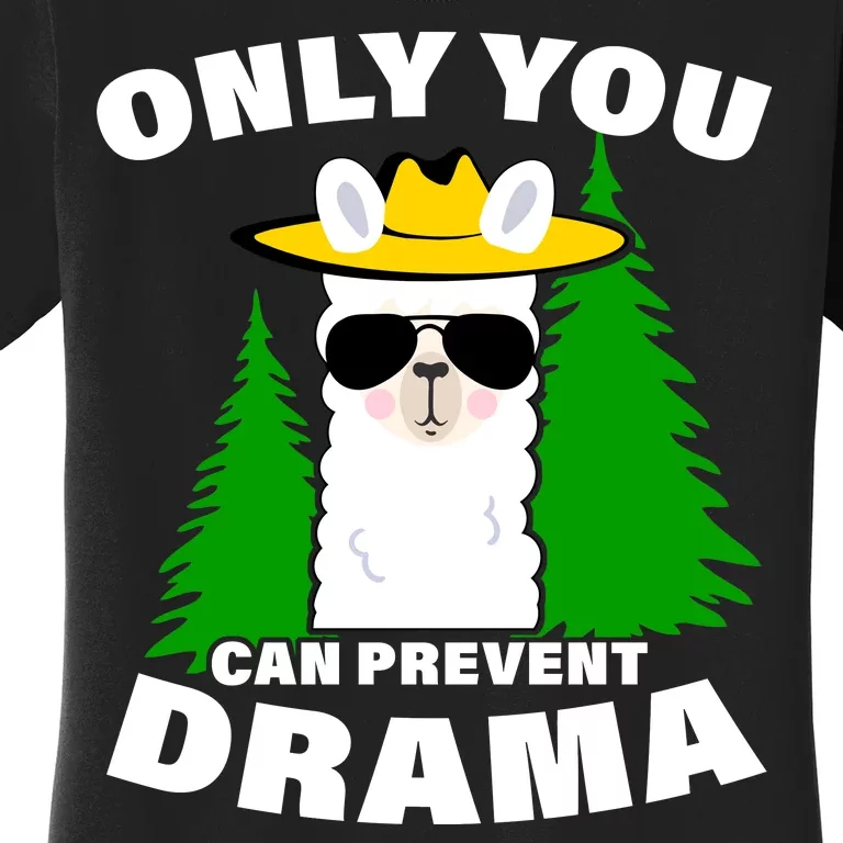 Only You Can Prevent Drama Women's T-Shirt