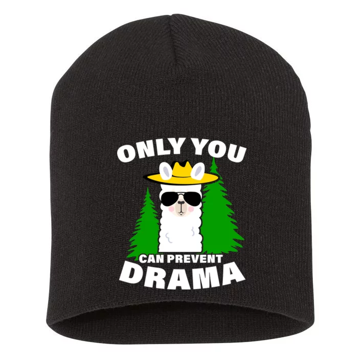 Only You Can Prevent Drama Short Acrylic Beanie