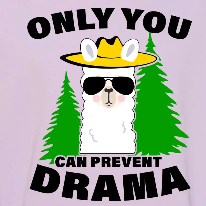 Only You Can Prevent Drama Garment-Dyed Sweatshirt