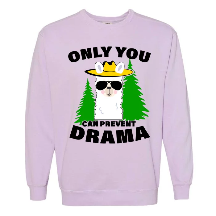 Only You Can Prevent Drama Garment-Dyed Sweatshirt