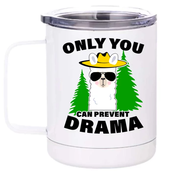 Only You Can Prevent Drama Front & Back 12oz Stainless Steel Tumbler Cup