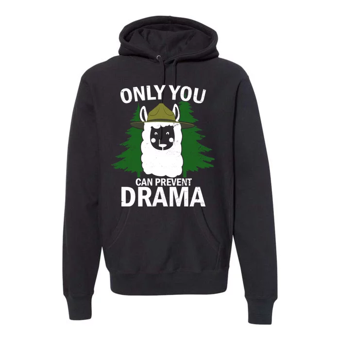 Only You Can Prevent Drama Funny LLama Premium Hoodie