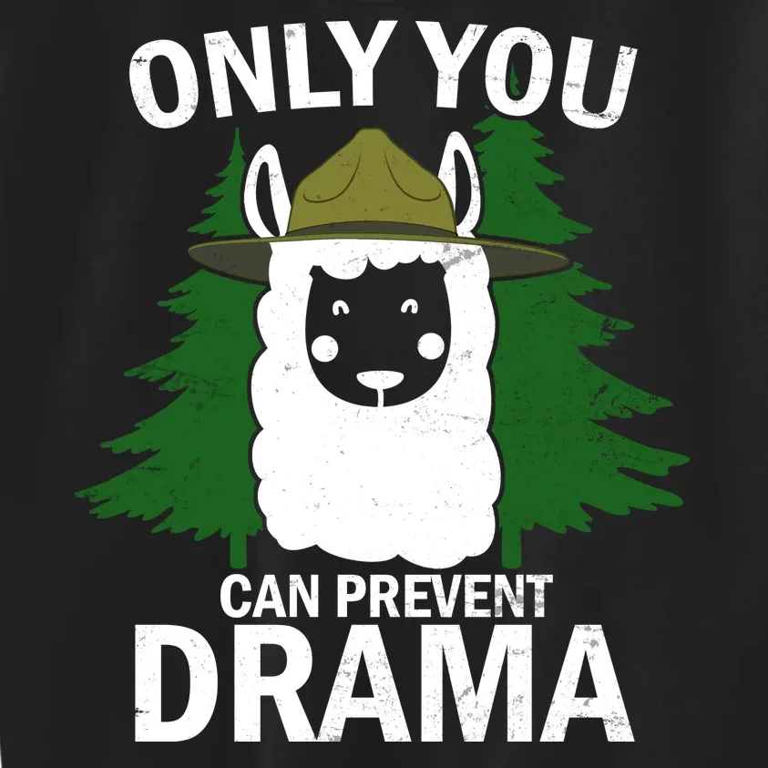 Only You Can Prevent Drama Funny LLama Kids Sweatshirt