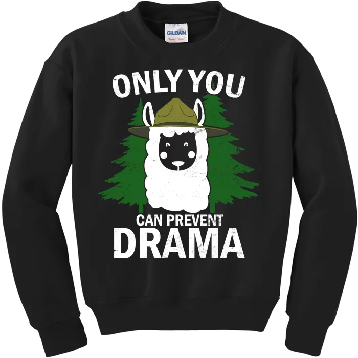 Only You Can Prevent Drama Funny LLama Kids Sweatshirt