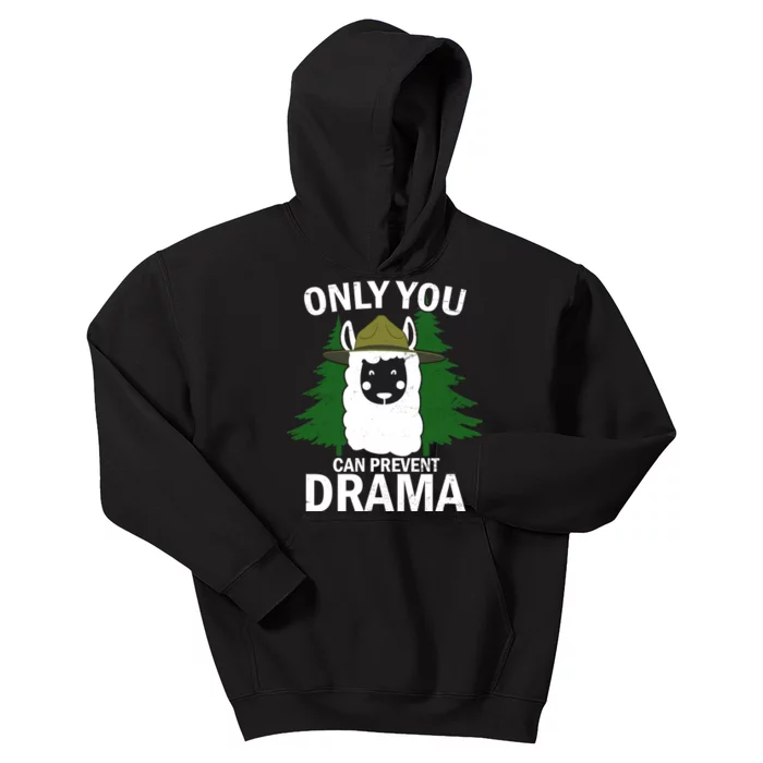 Only You Can Prevent Drama Funny LLama Kids Hoodie