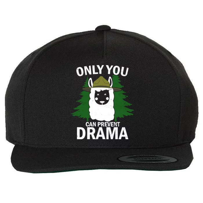 Only You Can Prevent Drama Funny LLama Wool Snapback Cap