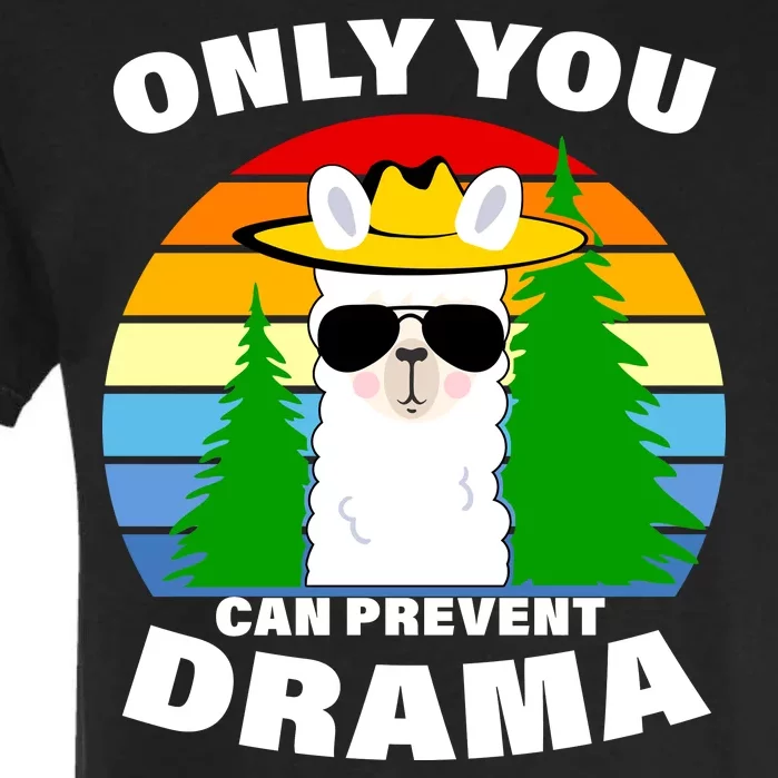 Only You Can Prevent Drama Llama Garment-Dyed Heavyweight T-Shirt