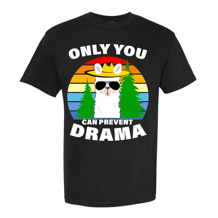 Only You Can Prevent Drama Llama Garment-Dyed Heavyweight T-Shirt