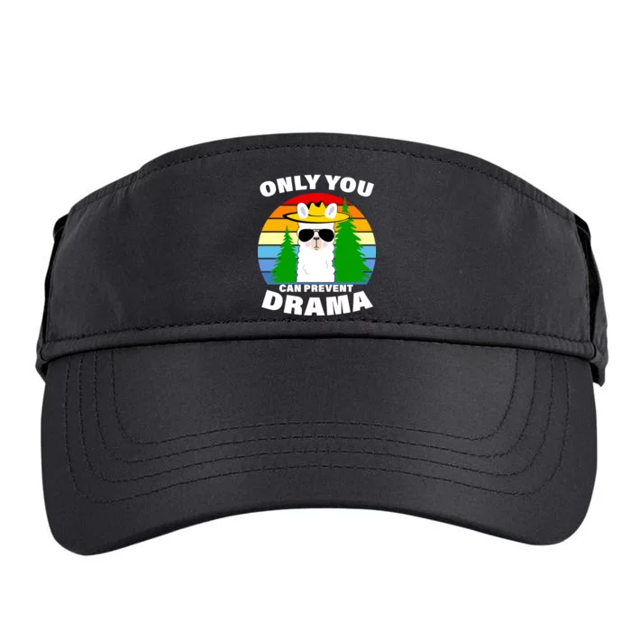 Only You Can Prevent Drama Llama Adult Drive Performance Visor