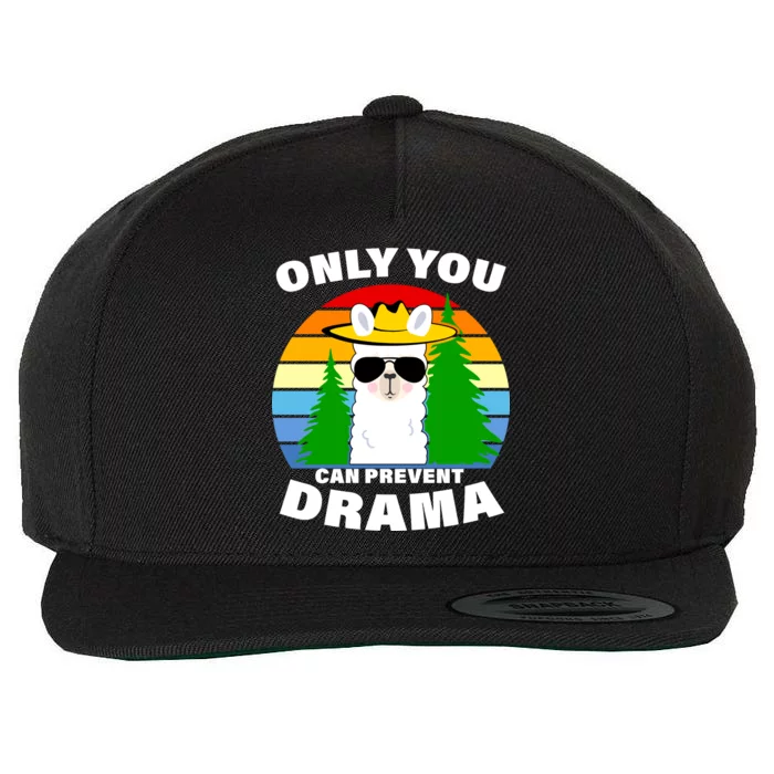 Only You Can Prevent Drama Llama Wool Snapback Cap