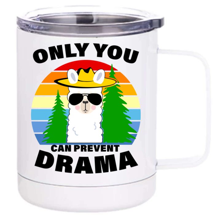 Only You Can Prevent Drama Llama Front & Back 12oz Stainless Steel Tumbler Cup