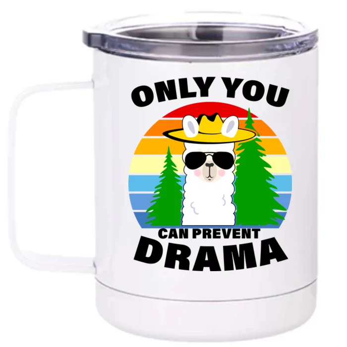 Only You Can Prevent Drama Llama Front & Back 12oz Stainless Steel Tumbler Cup