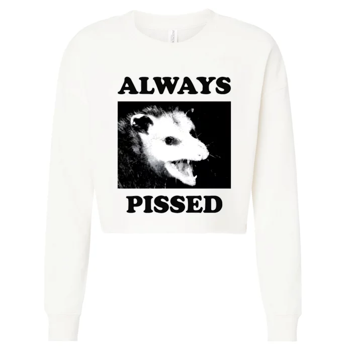 Opossum Opossum Always Pissed Cropped Pullover Crew